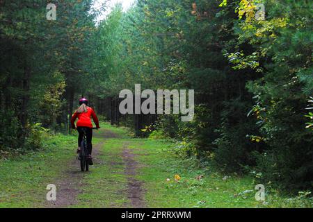 Ein Mädchen in Sportbekleidung und einem Helm fährt mit dem Fahrrad durch den Wald. Rückansicht Stockfoto