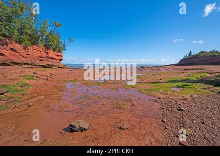 Wenig Flut in der Bay of Fundy Stockfoto