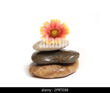 Balanced Stones mit Blume oben isoliert auf weißem Hintergrund Stockfoto