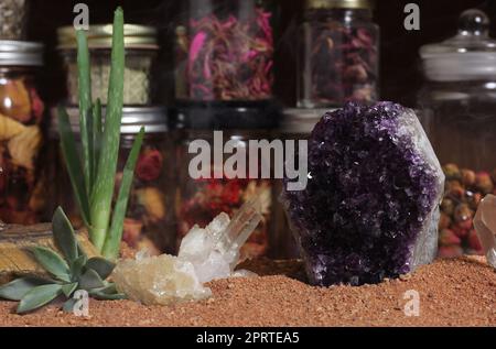 Amethyst Crystal mit Quartz Crystal und Aloe Vera Plant Stockfoto