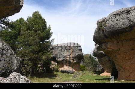 Der Wald, die Bäume und die Felsformationen in der „Ciudad Encantada“, im Herzen des Naturparks „Serrania de Cuenca, Provinz Cuenca, Spanien, 12. Mai 2022 Stockfoto