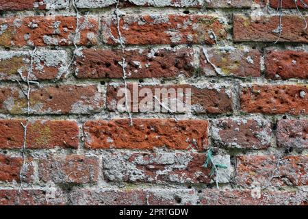 Alte rote Backsteinmauer in Nahaufnahme Stockfoto