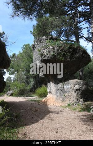 Der Wald, die Bäume und die Felsformationen in der „Ciudad Encantada“, im Herzen des Naturparks „Serrania de Cuenca, Provinz Cuenca, Spanien, 12. Mai 2022 Stockfoto