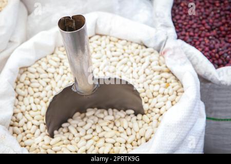 Weiße und rote Bohnen in zusammengerollten Säcken. Konzentrieren Sie sich auf Schaufel Stockfoto