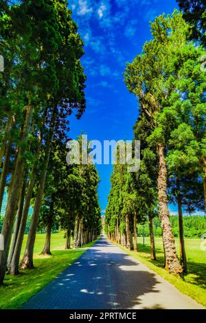 Torapist im Ausland Eintritt. Aufnahmeort: Hokuto City Hokkaido Stockfoto