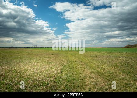 Weg durch eine riesige Wiese und Wolken zum Himmel Stockfoto