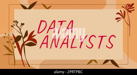 Textüberschrift mit Datenanalysten, Konzeptual Photo Programmer Design und Create Report identifiziert Muster Stockfoto