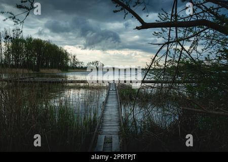 Ein enger Pier im Schilf des Sees und der wolkige Himmel Stockfoto