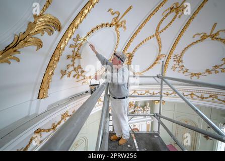 Andrew Brown verleiht der Restaurierung der Kuppeldecke in der Kapelle des Bar Convent Living Heritage Centre in York den letzten Schliff, während das älteste lebende Kloster Großbritanniens die Restaurierung seiner illegalen Kapelle aus dem 18. Jahrhundert enthüllt. Foto: Donnerstag, 27. April 2023. Stockfoto