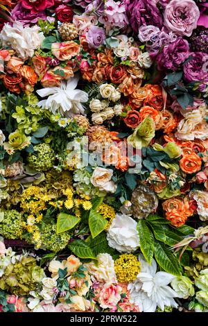 Blumen Wandhintergrund mit erstaunlichen roten, orangefarbenen, rosa, violetten, grünen und weißen Blumen Stockfoto