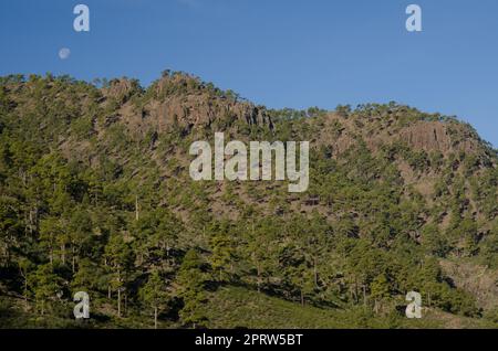 Inagua oder Los Hornos Mountain. Stockfoto