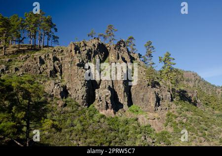 Klippe im Naturschutzgebiet Inagua. Stockfoto
