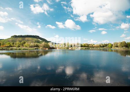 Biodiversität Haff Reimech, Feuchtgebiet und Naturschutzgebiet in Luxemburg, Teich umgeben von Schilf und Bäumen, Vogelbeobachtungspunkt Stockfoto