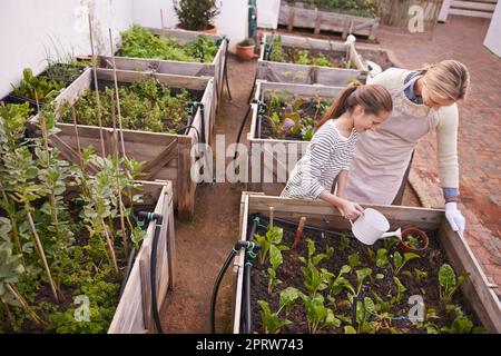 Weitergabe der Geheimnisse des grünen Daumens. Eine Mutter und Tochter arbeiten gemeinsam in ihrem Hinterhof. Stockfoto