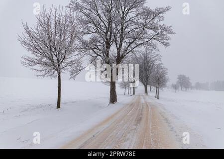 Staubige Straße mit Neuschnee Stockfoto