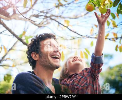 Genießen Sie die Gaben der Natur. Ein kleines Mädchen und ihr Vater im Garten im Herbst. Stockfoto