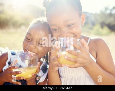 Saft, Kinder und glückliche Geschwister auf einem Picknick in fröhlicher Pflege und ein Lächeln in der Natur im Urlaub. Schwarze Kinder in gesunder Lebensweise mit Lächeln, die Vitamin C-Früchte im Freien trinken Stockfoto