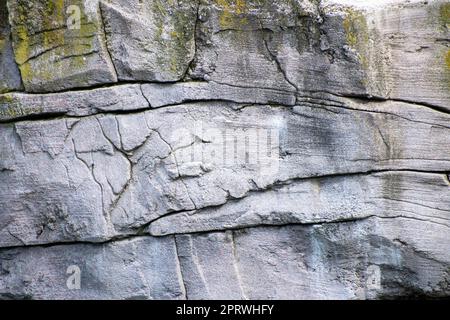 Künstliche graue Felswand mit Rissen und Moos überwuchert Stockfoto