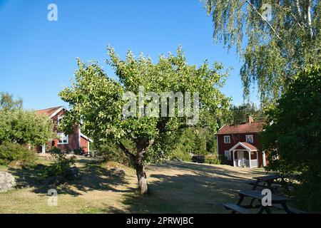 Traditionelles schwedisches rot-weißes Haus in Smalland, weißer Zaun, grüner Garten, blauer Himmel Stockfoto