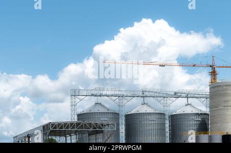 Baustelle der Tierfutterfabrik. Landwirtschaftliches Silo in der Futtermittelfabrik. Tank für Lagergetreide in der Futtermittelherstellung. Saatgutturm für die kommerzielle Futtermittelproduktion. Tierfutterindustrie. Stockfoto