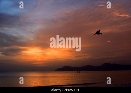 sonnenaufgangsstimmung im Can Picafort auf Mallorca Stockfoto