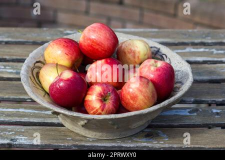 Frische Äpfel in einer Schüssel Stockfoto