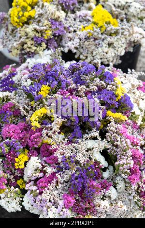 Bouquet von trockenen Herbstblumen Stockfoto