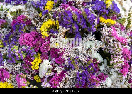Bouquet von trockenen Herbstblumen Stockfoto