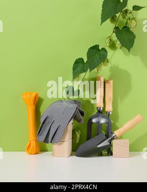 Gartenwerkzeuge zur Bearbeitung von Beeten im Garten und Textilhandschuhe auf grünem Hintergrund Stockfoto