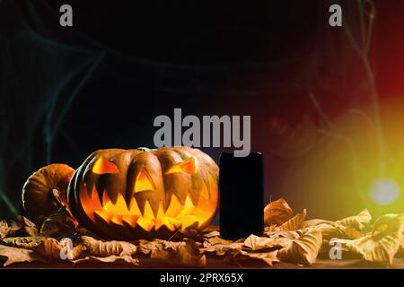 Halloween Kürbisse und Smartphone in beängstigend tiefe Nacht. Halloween Hintergrund Stockfoto