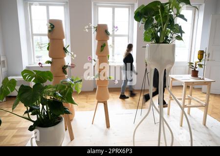 Dresden, Deutschland. 27. April 2023. Teilnehmer einer Pressetour machen einen Spaziergang durch die Ausstellung „Plant Fever. Botany, Man, Design. Die Präsentation umfasst das gesamte Palastgelände und ist vom 29. April bis 31. Oktober 2023 zu sehen. Kredit: Sebastian Kahnert/dpa/Alamy Live News Stockfoto