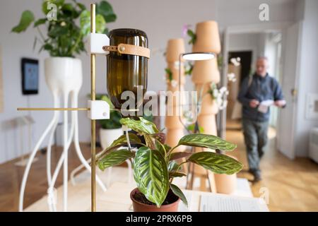 Dresden, Deutschland. 27. April 2023. Ein Teilnehmer einer Pressetour führt durch die Ausstellung „Plant Fever. Botany, Man, Design. Die Präsentation umfasst das gesamte Palastgelände und ist vom 29. April bis 31. Oktober 2023 zu sehen. Kredit: Sebastian Kahnert/dpa/Alamy Live News Stockfoto