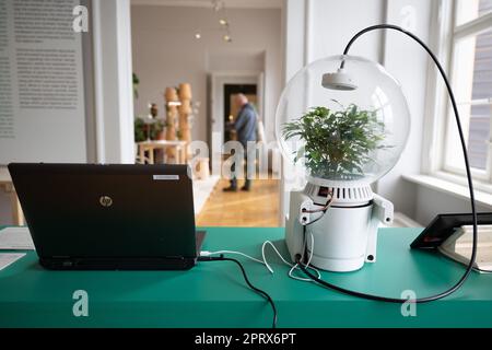 Dresden, Deutschland. 27. April 2023. Ein Teilnehmer einer Pressetour führt durch die Ausstellung „Plant Fever. Botany, Man, Design. Die Präsentation umfasst das gesamte Palastgelände und ist vom 29. April bis 31. Oktober 2023 zu sehen. Kredit: Sebastian Kahnert/dpa/Alamy Live News Stockfoto