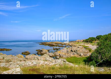 Wunderschöne Landschaft und Vegetation an der Westküste der Landzunge Hammeren an der Nordspitze der Insel Bornholm, Dänemark, Skandinavien, Europa. Stockfoto