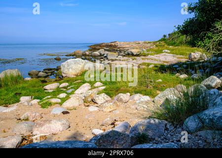 Wunderschöne Landschaft und Vegetation an der Westküste der Landzunge Hammeren an der Nordspitze der Insel Bornholm, Dänemark, Skandinavien, Europa. Stockfoto