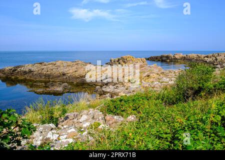 Wunderschöne Landschaft und Vegetation an der Westküste der Landzunge Hammeren an der Nordspitze der Insel Bornholm, Dänemark, Skandinavien, Europa. Stockfoto