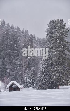 Altes verlassenes Holzhaus. Das Dach ist mit einer dicken Schneeschicht bedeckt. Altai in der Wintersaison. Sibirien, Russland. Stockfoto