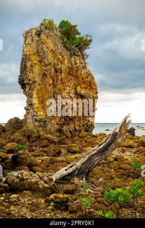 Kieselstrand in Pulau Mawar; Endau, Halbinsel Malaysia. Das Pulau Mawar liegt an der Spitze des Pantai Mawar Beach. Stockfoto