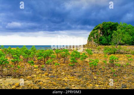 Kieselstrand in Pulau Mawar; Endau, Halbinsel Malaysia. Das Pulau Mawar liegt an der Spitze des Pantai Mawar Beach. Stockfoto