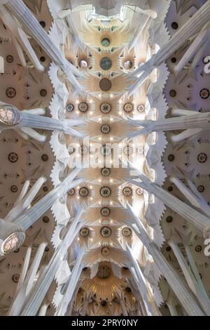 BARCELONA, SPANIEN - 22. AUGUST 2022: Decke des Schiffes - Innenraum der Sagrada Familia Stockfoto