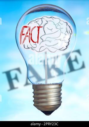 Falsches Nachrichtenkonzept mit menschlichem Gehirn in der Glühbirne und verschwommener Bildunterschrift im Rücken, Symbol Stockfoto