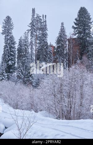 Haus im Tannenwald Teletsky Altai Winter Ski Resort. Stockfoto