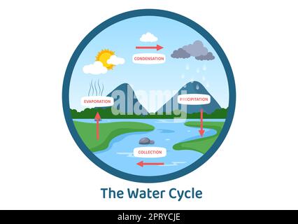 Wasserkreislauf von Verdunstung, Kondensation, Niederschlag zur Sammlung in natürlicher Umgebung der Erde auf flachem Cartoon Handgezeichnete Vorlagenillustration Stockfoto