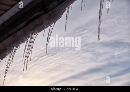 Eiszapfen an einem warmen Frühlingstag hängen vom Holzdach eines alten Hauses und funkeln im Licht der Sonne. Stockfoto