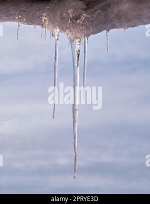 Eiszapfen an einem warmen Frühlingstag hängen vom Holzdach eines alten Hauses und funkeln im Licht der Sonne. Stockfoto