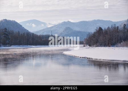 Altai Biya in der Wintersaison. Die Flussufer sind mit Eis und Schnee bedeckt. Altai, Sibirien, Russland Stockfoto