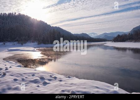 Altai Biya in der Wintersaison. Die Flussufer sind mit Eis und Schnee bedeckt. Altai, Sibirien, Russland Stockfoto