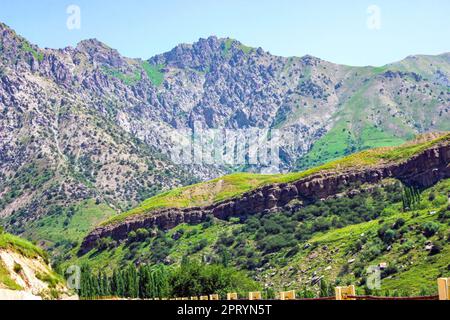 Hohe Berge mit grünem Gras und Bäumen am blauen Himmel an einem Sommertag. Wunderschöne ruhige Landschaft mit Bergen und Hügeln ohne Stockfoto