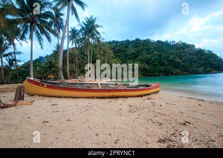 Muscheln auf den Felsen im Meer Stockfoto