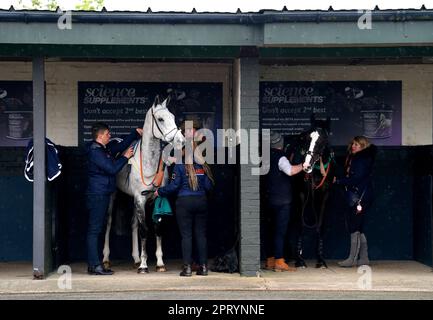 Pferde im Ring vor der Parade auf der Warwick Rennbahn. Foto: Donnerstag, 27. April 2023. Stockfoto